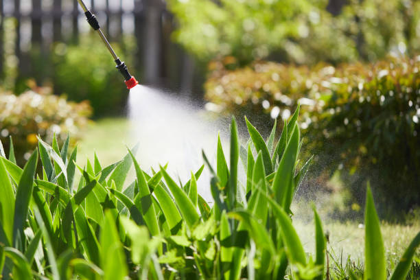 24/7 Emergency Wasp Removal experts in Montgomery, TX