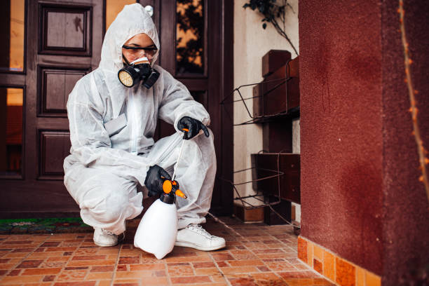 Reliable Wasp Removal contractor in Montgomery, TX by Show Me Pest Control